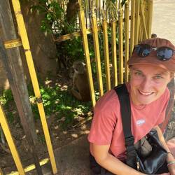 Rücken an Rücken mit einem Affen 🐒