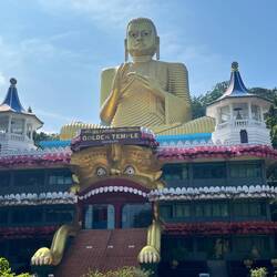 Buddha sieht man in Sri Lanka wirklich überall