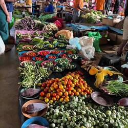 Unser Gastgeber Gihan hat uns mit auf den Markt genommen, um fürs Abendessen einzukaufen.