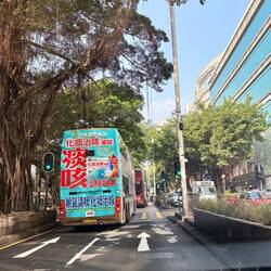 Nur Doppeldeckerbusse