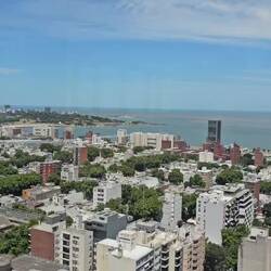 Nice panorama of the city from atop one of the (tall) administrative bldgs.