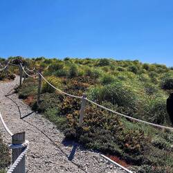 Walkway to Gypsy Cove