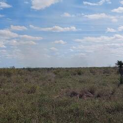 Sie brennen wieder kontrolliert nieder.