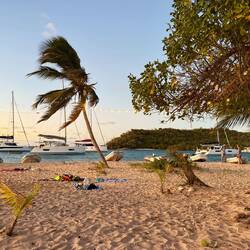 Traumhaft in Petit Bateau... 😇🏝️❤️