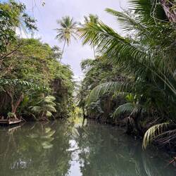 Flussfahrt Indian River in Dominica