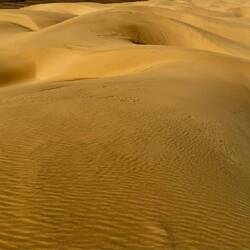 Die kleine Sahara und die ersten Dünen, die ich so in Marokko sehe ❤️💫