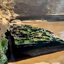 Auch hier grünes Haar auf den Felsen 🫢