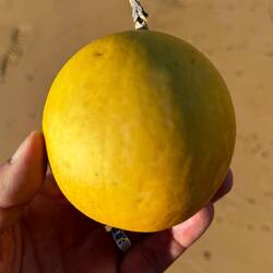 Was ist das für ein Ding, das nehme wir mal mit.