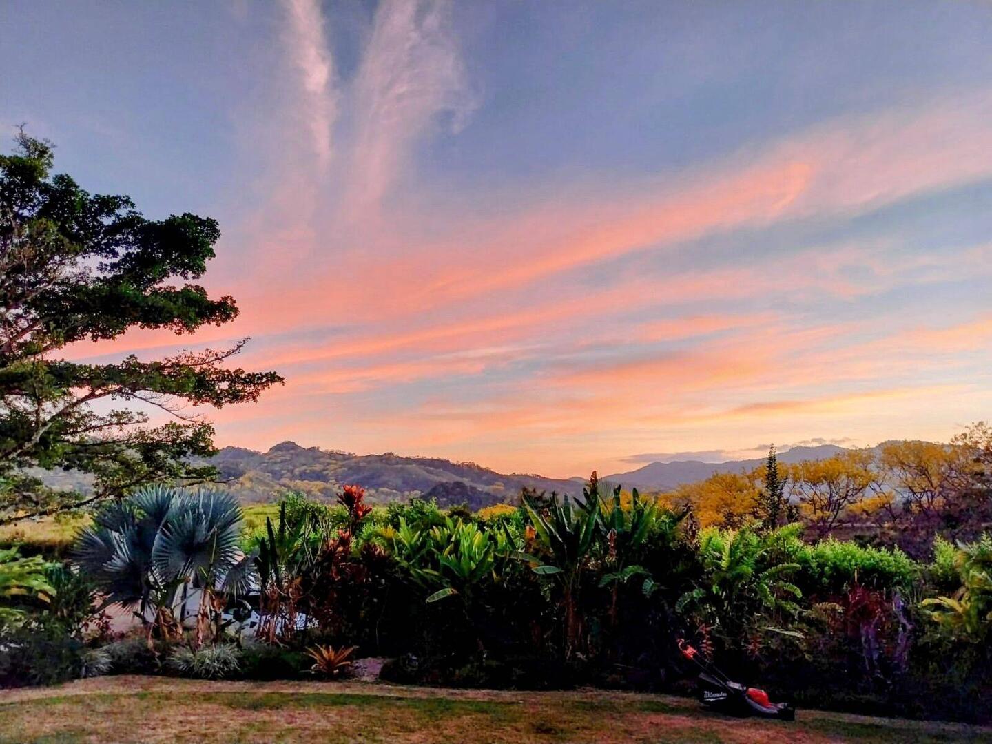 Blick von der Terrasse, nicht schlecht