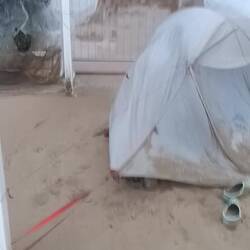 Man skulle tro at jeg var på roskilde festival