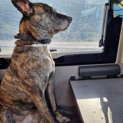 Da schläft jemand fast im Sitzen ein.