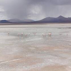 Im Hintergrund braut sich was zusammen