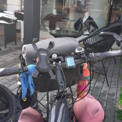 Jetzt auch mit Spiegel an der rechten Seite: Wir radeln im Linksverkehr.