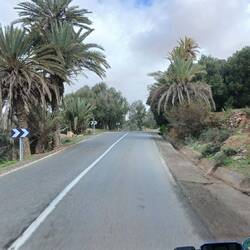 durch eine lange Oase im Gebirge