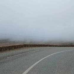 Im Nebel auf 1.300 m