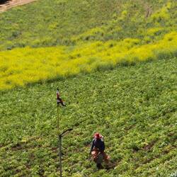 Gift spritzen als Handarbeit