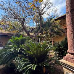 Casa de los Capitanes