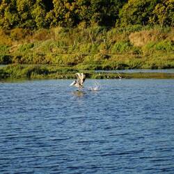 Der Bursche war schon ziemlich groß...