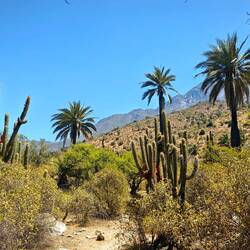 ...oder auch in Tälern