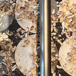 Schallen 🥜einfach fallen lassen