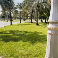 El esplendor de los Emiratos, hecho arquitectura.