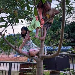 Süße Kletter-Affen 🙊🧡