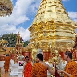 Mönche machen auch Selfies