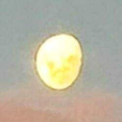 Und hier seine Fratze von Nah 😖