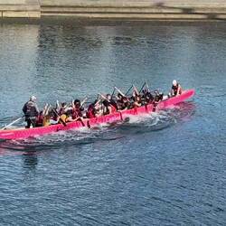 Arbeitsbeschäftigung auf neuseeländisch