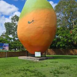 Largest Mango is the world! 🤣