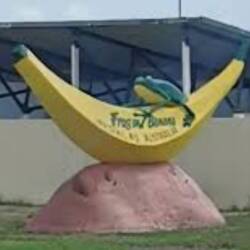 Yup. Frog on a banana.