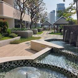 Die Frangipanibüsche verlieren jetzt zum Beginn der heißen Jahreszeit langsam Blüten und Laub