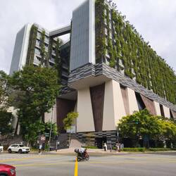 School of arts