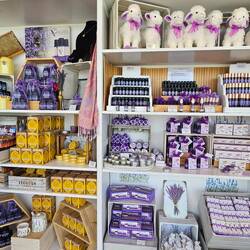 Alles aus und mit Lavendel