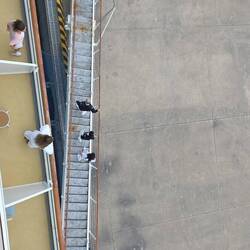 Heute kam die sogenannte Hühnerleiter zum Einsatz