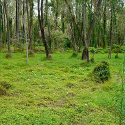 Jaja so gsets schön us