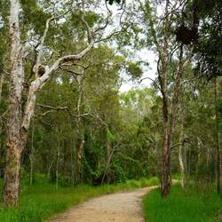 Wär nid gern Spinne gset lügt besser nid me Fotos a