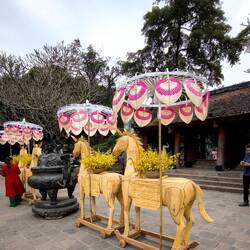 Literaturtempel - das Jahr des Pferdes steht bevor.
