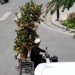 Mit den Mopeds wird schlichtweg alles transportiert