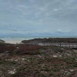 Der Golf von Mexico (steht auf allen NPS Schilder 😉).