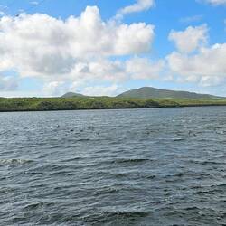 Bay makes its way to the ocean nearby
