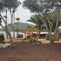 Remnants of old mill machinery