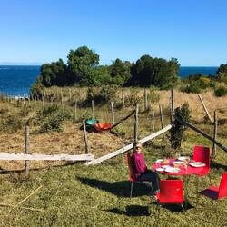 Essen im Garten mit Blick auf das Meer und dahinter die Anden