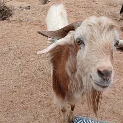 Nette Begrüßung am Morgen