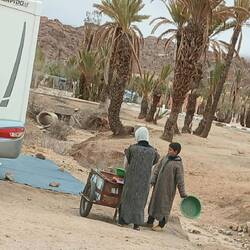 Die Jungs haben uns Orangen verkauft