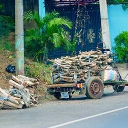 Ohne Motor, Holz-Transport in El Salvador