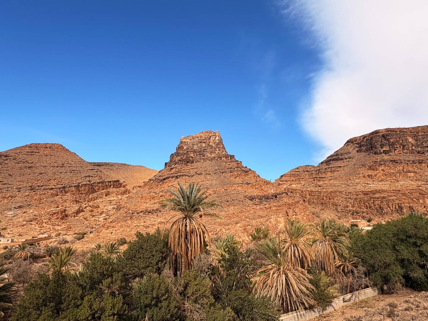 Dort hoch soll es heute gehen 🥾