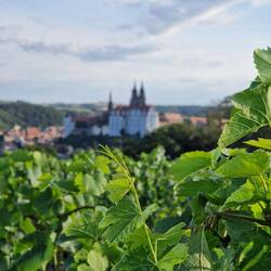 Meißen 🍇