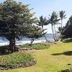 Honoli'i