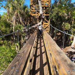 Canopy walk; Teil eines globalen Projektes... auch in D sind einige gelistet.